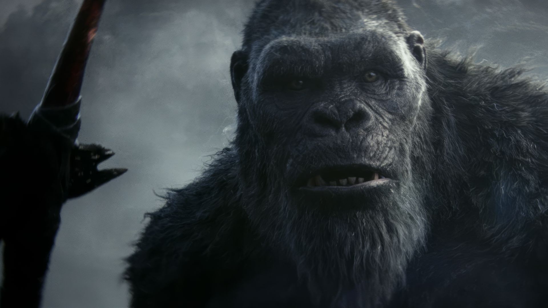 ویدیوهای فیلم Godzilla x Kong | آشنایی کینگ کونگ با گوریل کوچک
