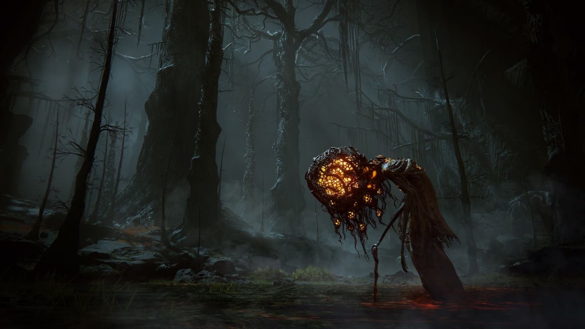 یک هیولا در جنگل های تاریک Elden Ring: Shadow of the Erdtree سرگردان است