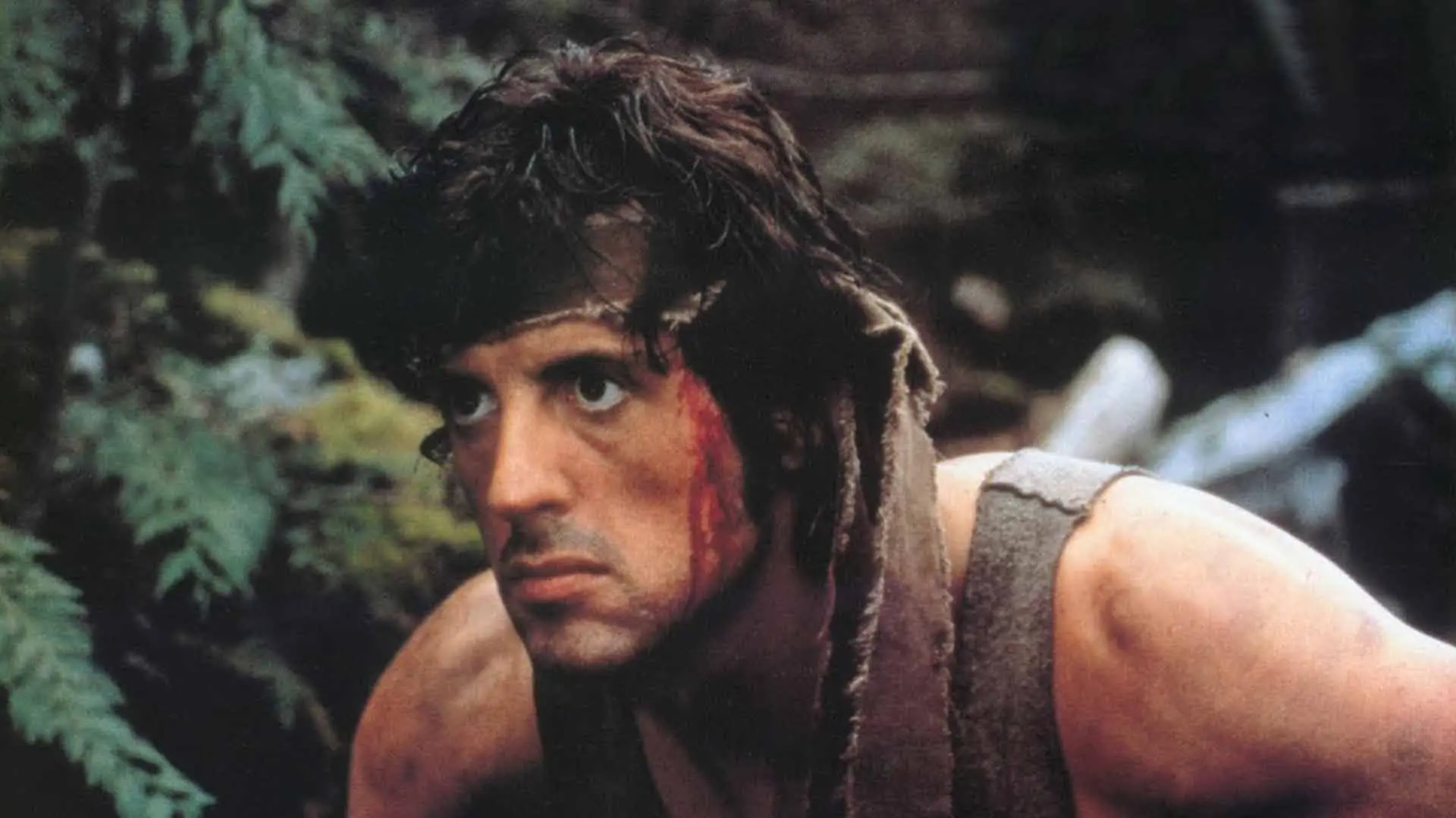 سیلوستر استالونه با صورتی خونی در جنگل در فیلم Rambo: First Blood