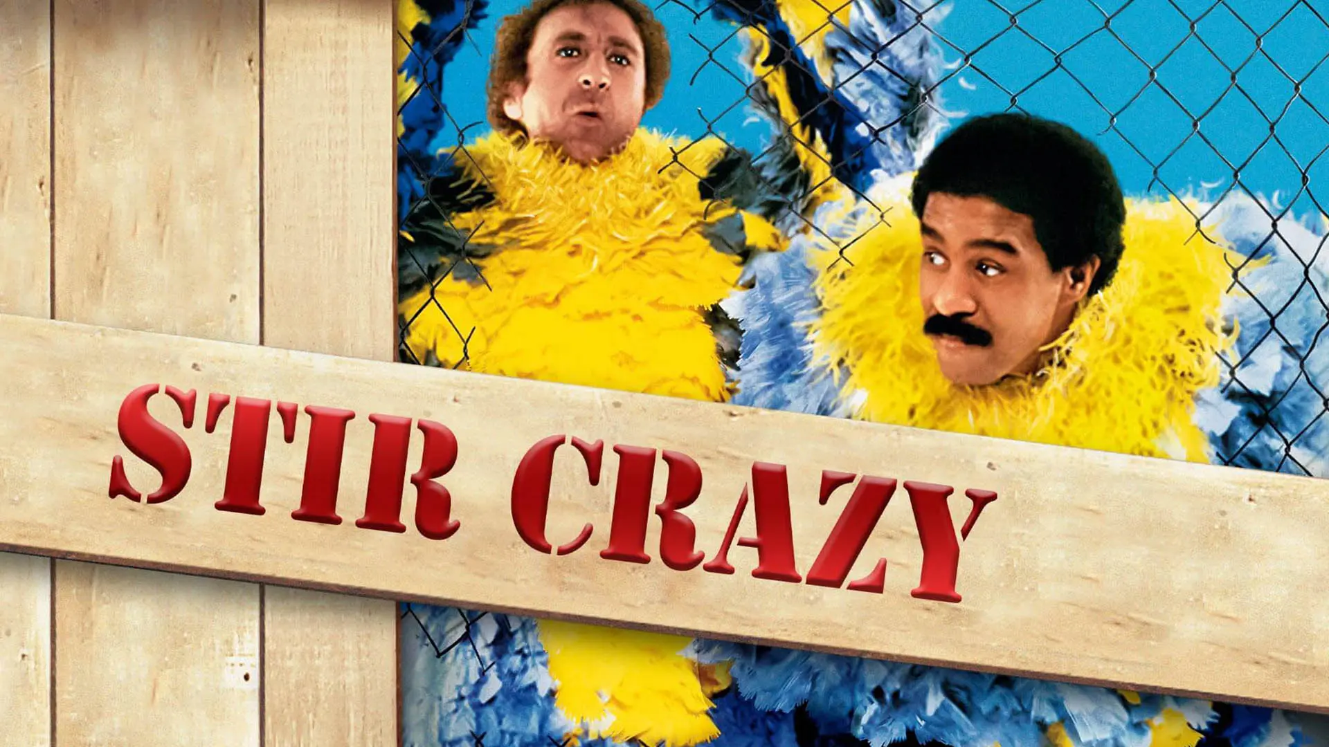 شخصیت های اصلی فیلم Stir Crazy در کاور سینمایی فیلم