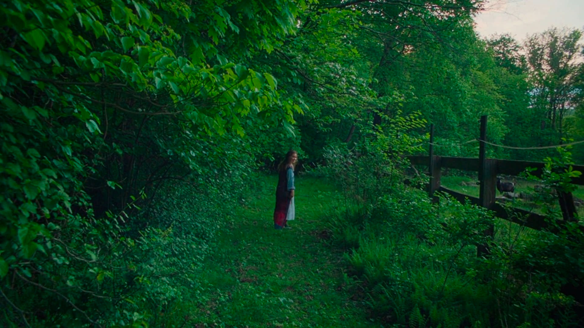 هیلی لو ریچاردسون در صحنه‌ای از فیلم پس از جوانی کوگونادا که توسط فضای سبز احاطه شده است