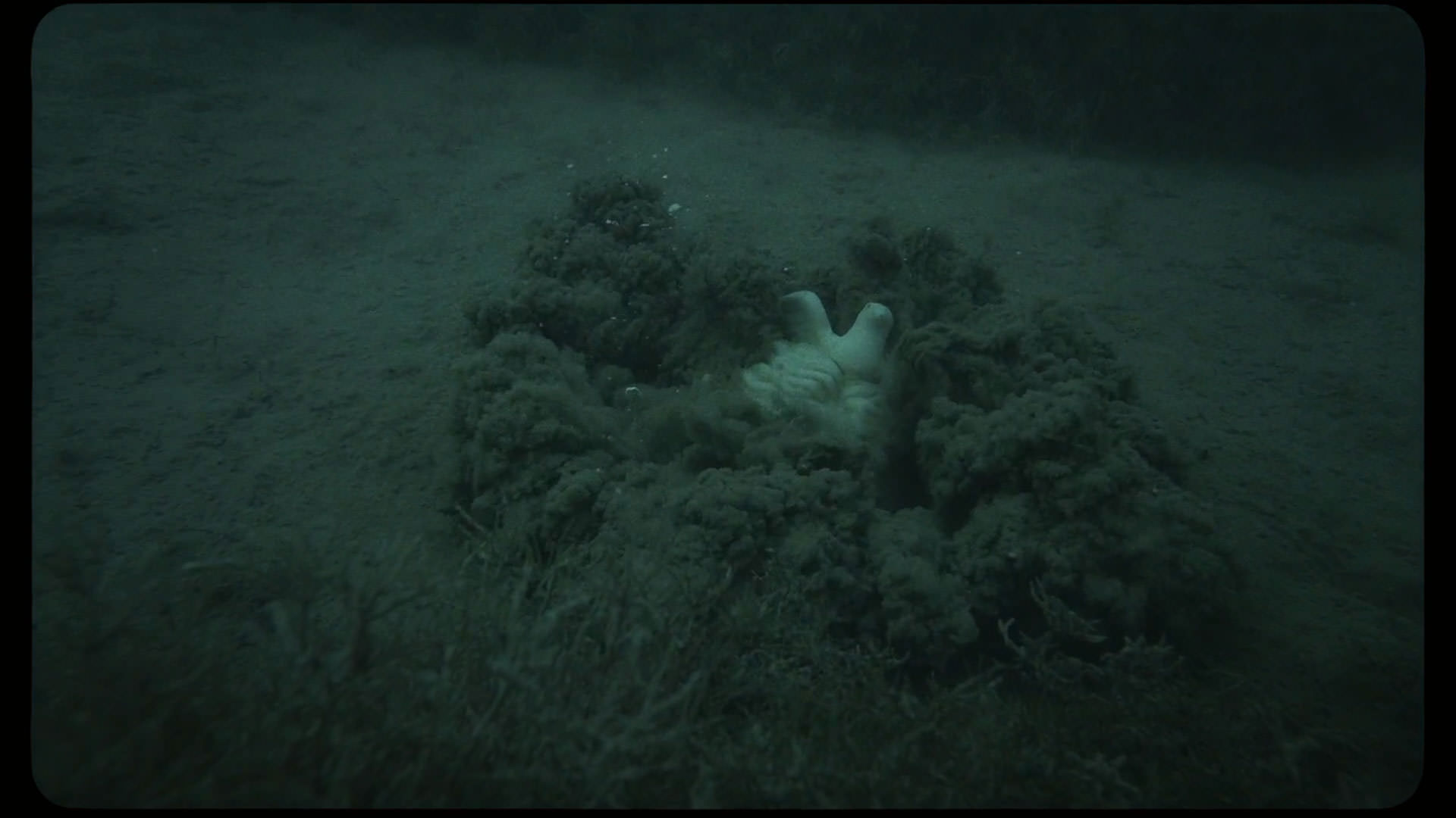 سر یک مجسمه سفیدرنگ ته دریا فرود می‌آید در نمایی از فیلم کیمرا به کارگردانی آلیچه رورواکر