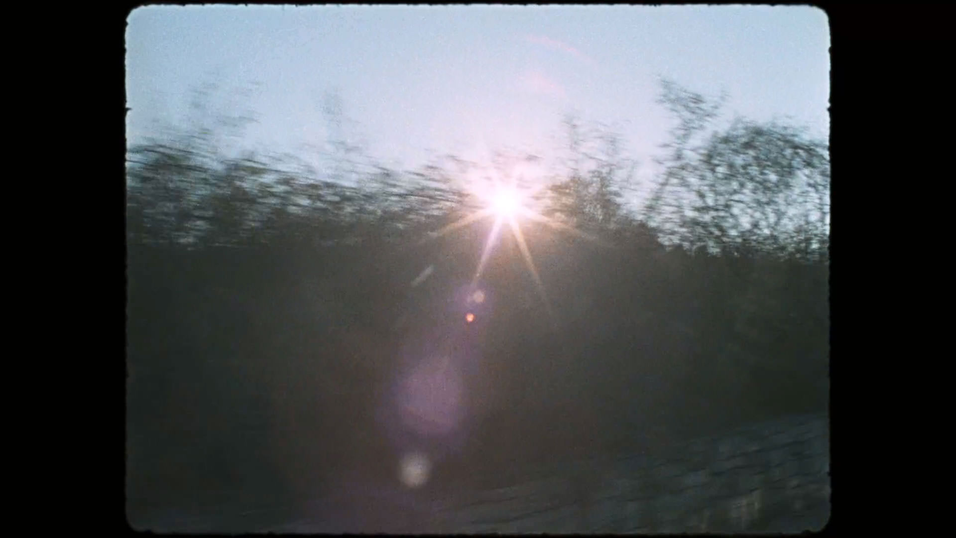خورشید از میان شاخه‌ی درختان می‌تابد در نمایی از فیلم کیمرا به کارگردانی آلیچه رورواکر