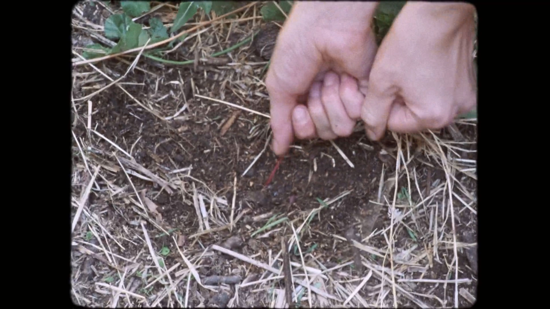 نمایی از دستان کسی که تلاش می‌کند نخی را از داخل خاک بیرون بکشد در نمایی از فیلم کیمرا به کارگردانی آلیچه رورواکر