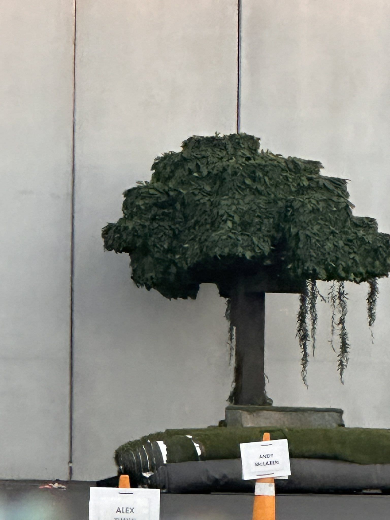 یک درخت مکعبی در پشت صحنه فیلم Minecraft