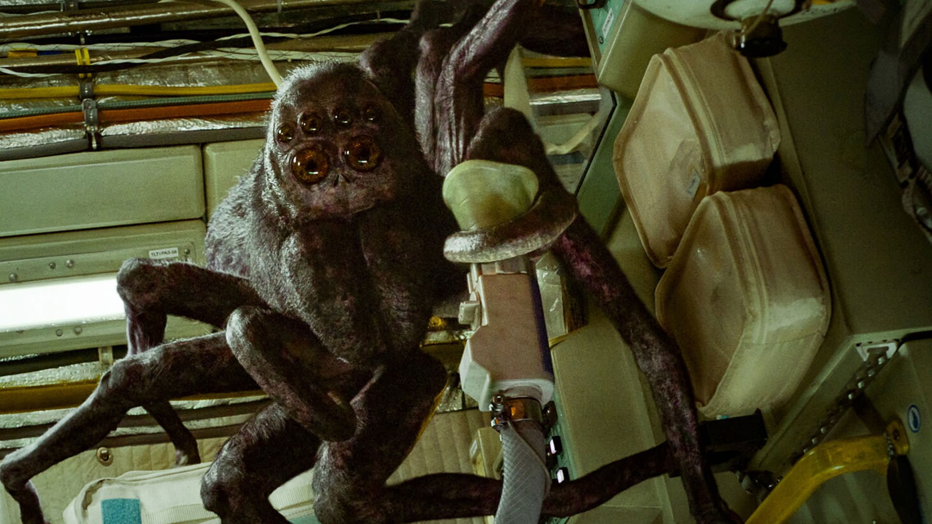 یک عنکبوت غول پیکر در صحنه ای از فیلم فضانورد جان رنک