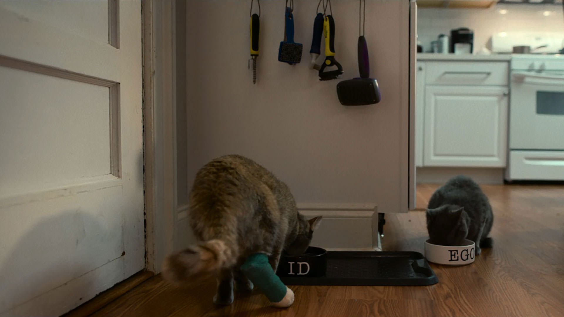 دو گربه در حال غذا خوردن داخل یک خانه در نمایی از فیلم آدمکش به کارگردانی ریچارد لینکلیتر