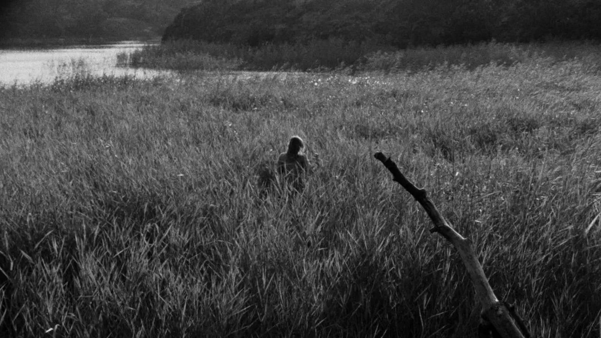 دختری در یک علفزار نزدیک آب ایستاده است در نمایی از فیلم تابستان با مونیکا به کارگردانی اینگمار برگمان