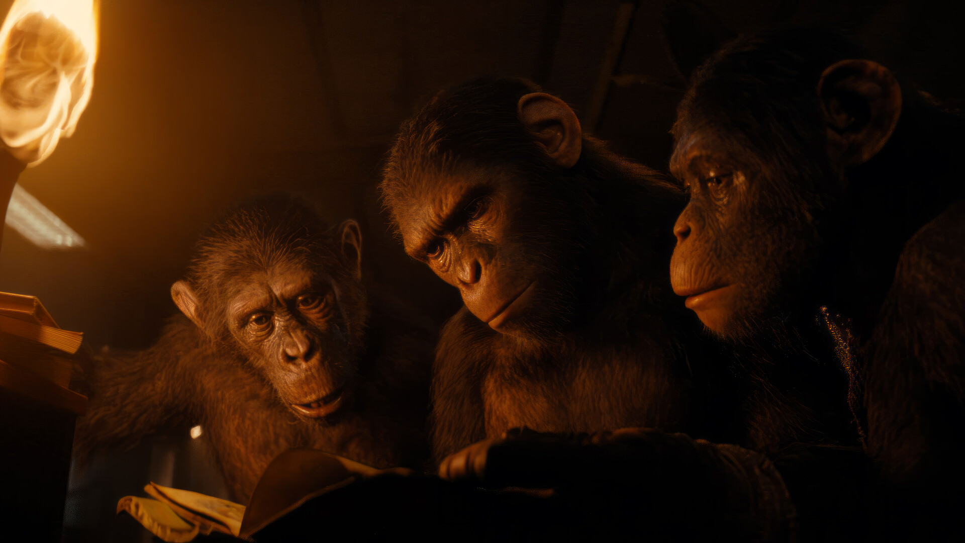 نوآ و دوستانش در حال خواندن کتاب در فیلم Kingdom of the Planet of the Apes 