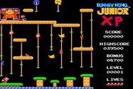 2-donkey-kong-junior-xp