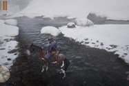 Red Dead Redemption 2 - Water Quality - Balanced