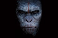 Dawn of the planet of the apes (10)