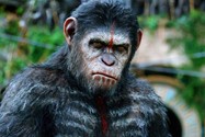 Dawn of the planet of the apes (8)
