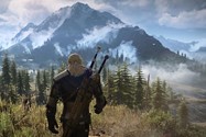 The Witcher 3 (14)