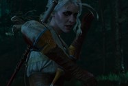 The-Witcher-3-(18)