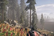 Far Cry 5 LOW Video Setting