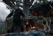 Dawn of the planet of the apes (4)