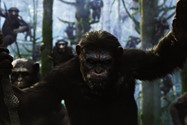 Dawn of the planet of the apes (9)
